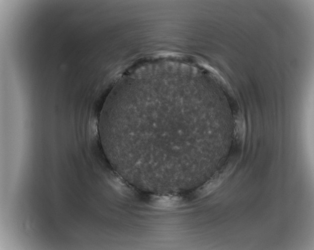 X0000116000621200911251101