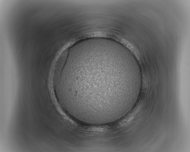 X0000116000625200911251100