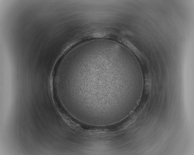 X0000116000626200911251100