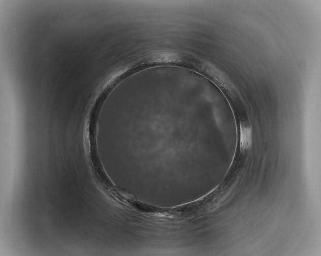 X0000116000627200911251101