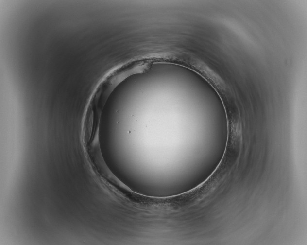 X0000116000628200911251101