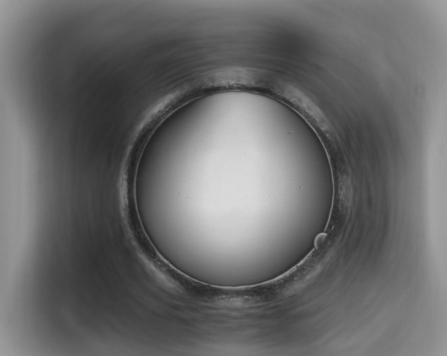 X0000116000629200911251101