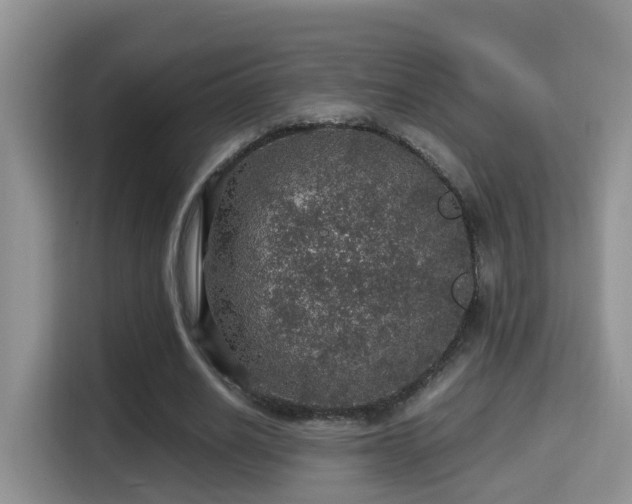 X0000116000630200911251101