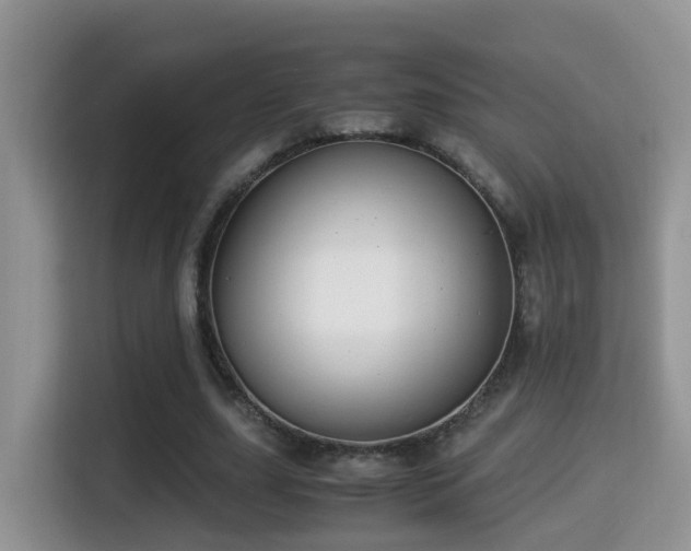 X0000116000631200911251101