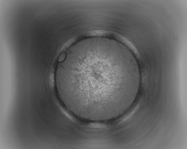 X0000116000633200911251101