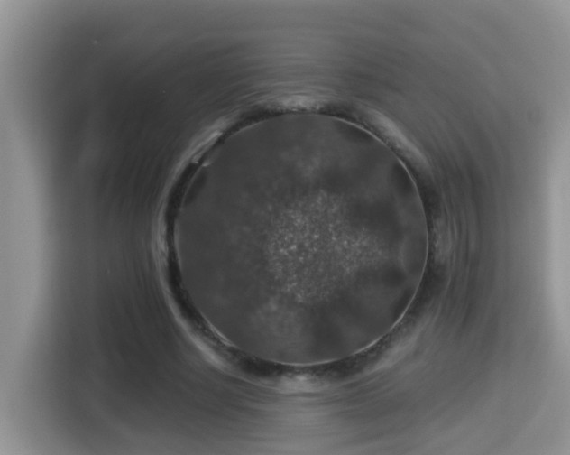 X0000116000634200911251101