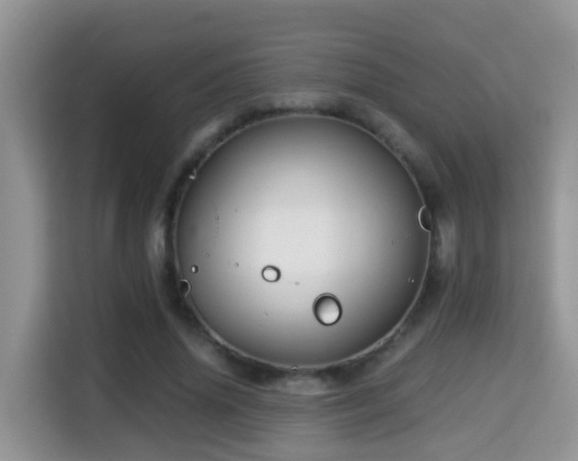 X0000116000636200911251101