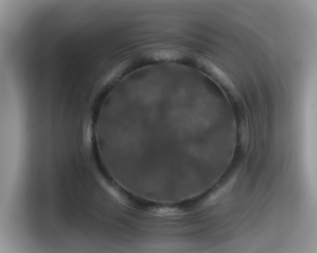 X0000116000637200911251101