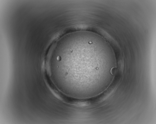 X0000116000638200911251101