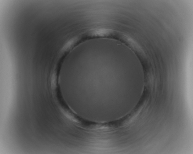 X0000116000640200911251101