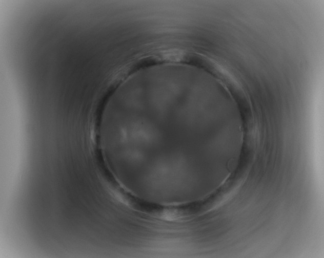 X0000116000641200911251101