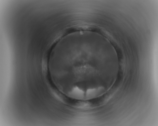 X0000116000642200911251101