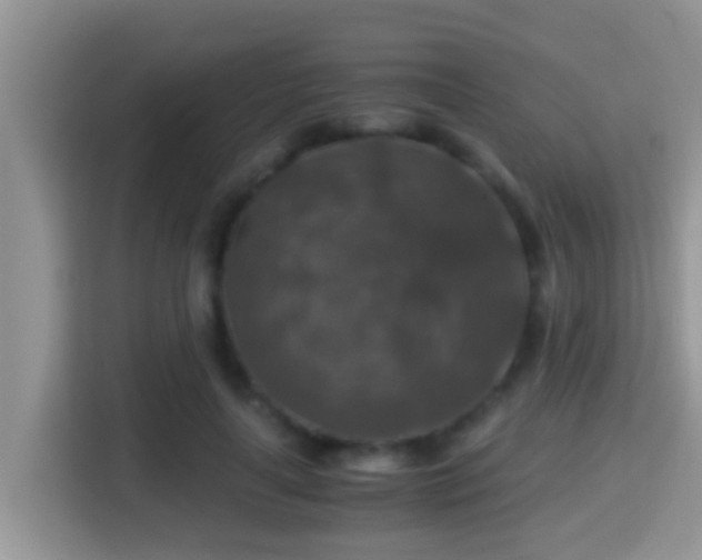 X0000116000643200911251101