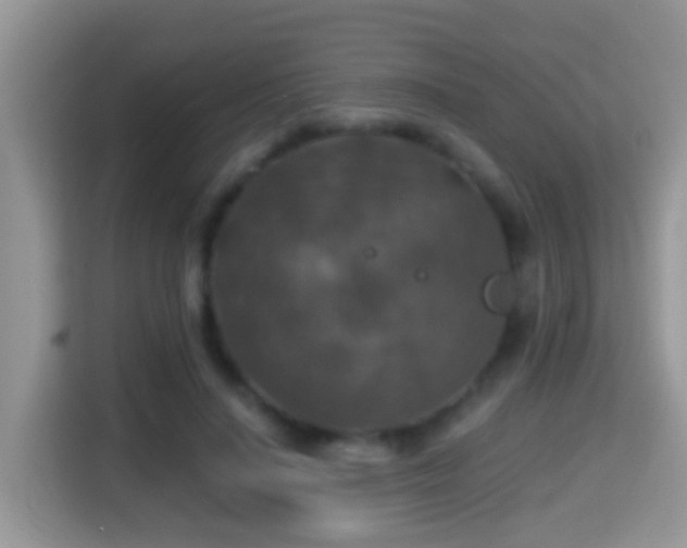 X0000116000644200911251101