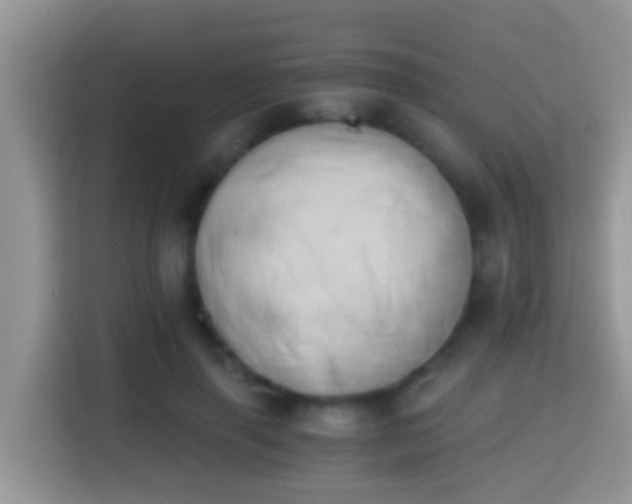 X0000116000645200911251101