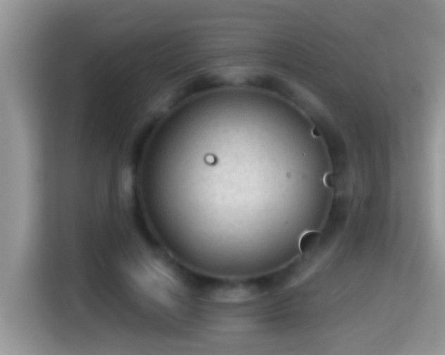 X0000116000646200911251101