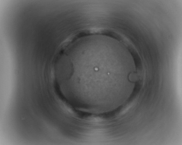 X0000116000648200911251101