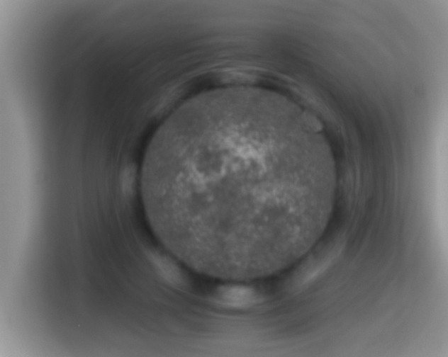 X0000116000649200911251101