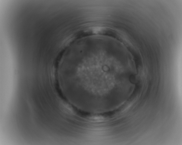 X0000116000650200911251101