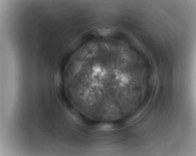 X0000116000651200911251101