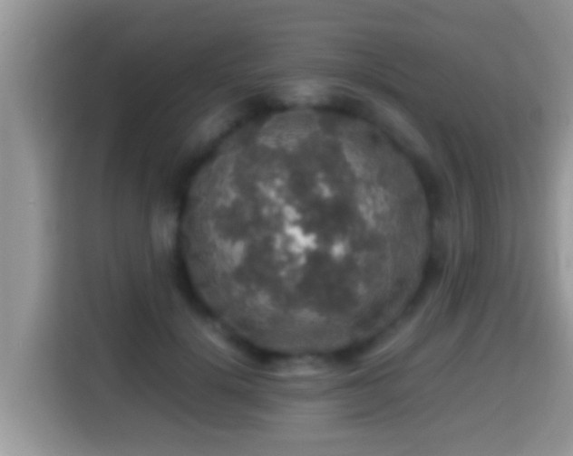 X0000116000652200911251101