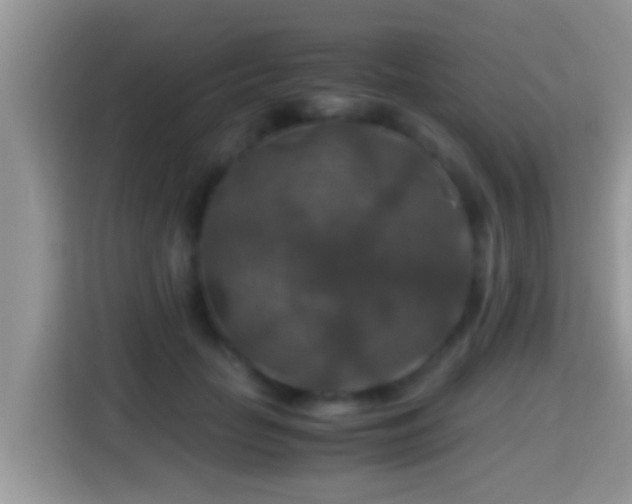 X0000116000653200911251101