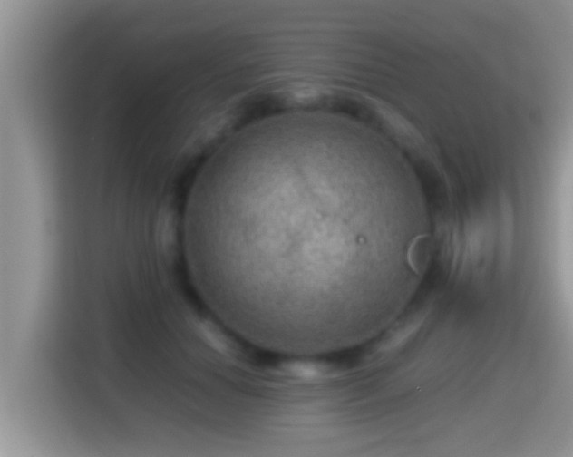 X0000116000654200911251101