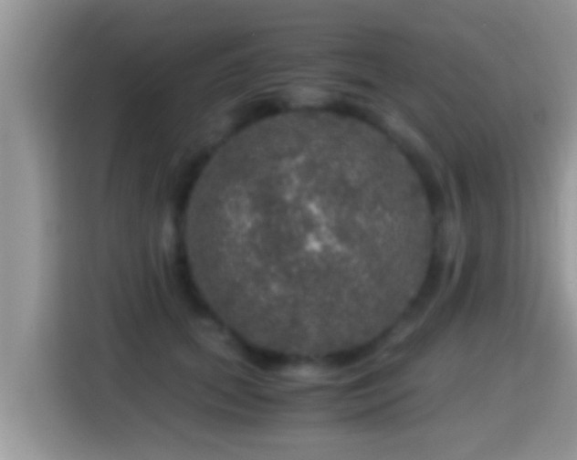 X0000116000655200911251101