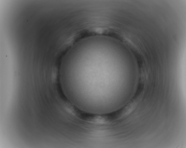 X0000116000656200911251101