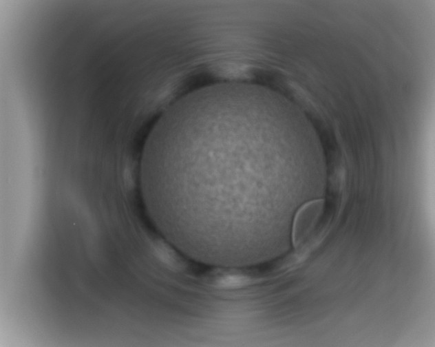 X0000116000658200911251101