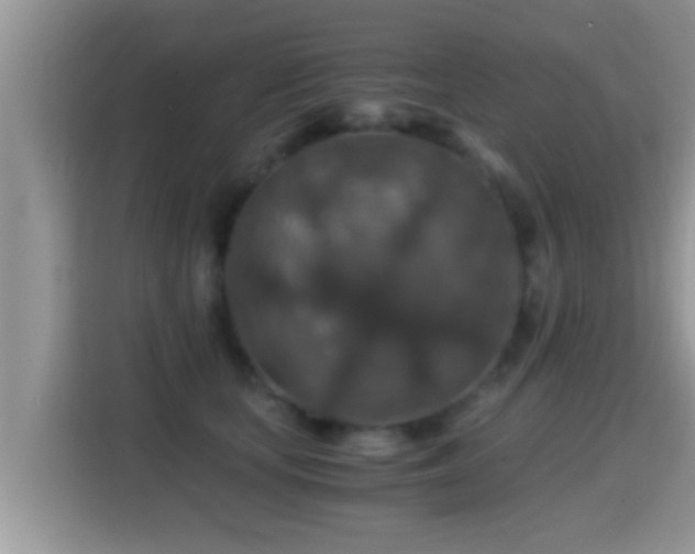 X0000116000659200911251101