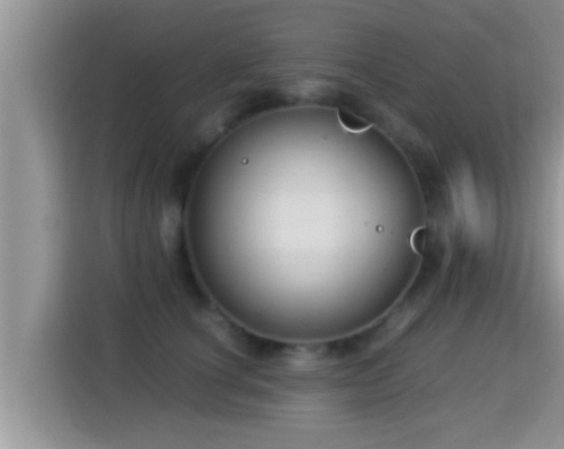 X0000116000660200911251101