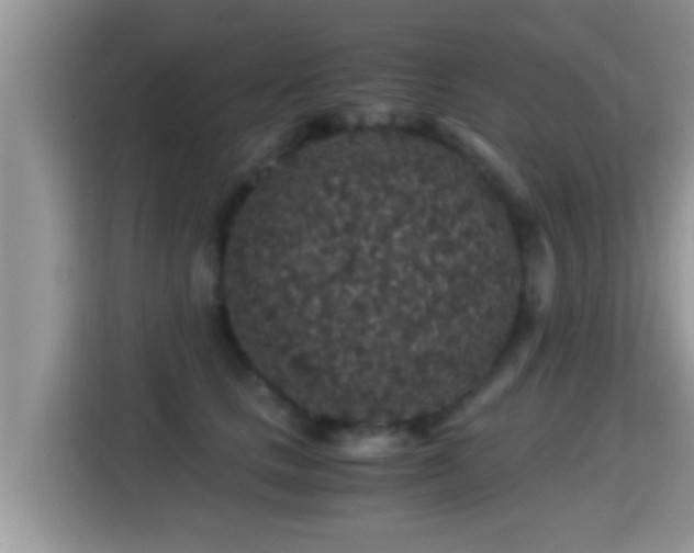 X0000116000661200911251101