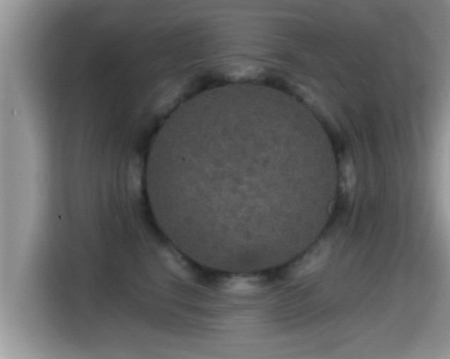 X0000116000664200911251101