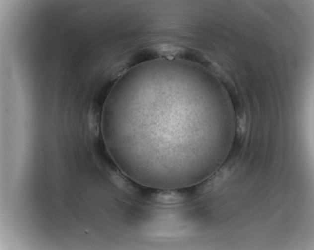 X0000116000666200911251101