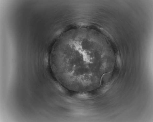 X0000116000668200911251101