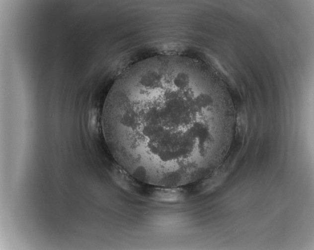 X0000116000671200911251101