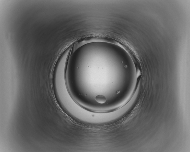 X0000116000673200911251100