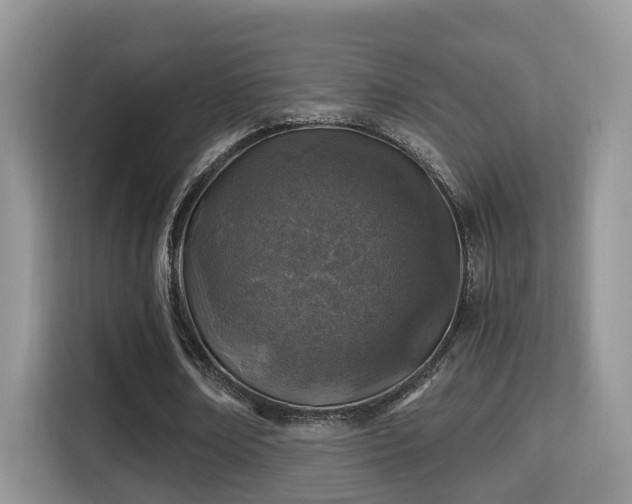 X0000116000674200911251100