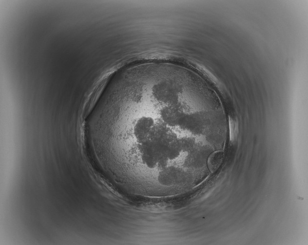 X0000116000675200911251100