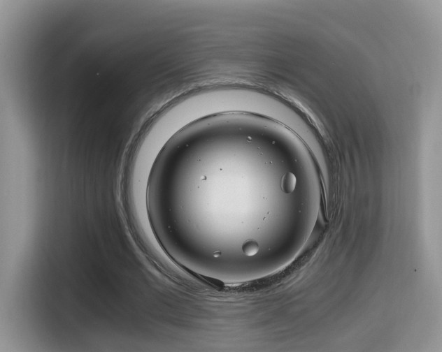 X0000116000677200911251100