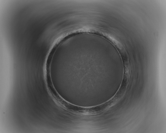 X0000116000678200911251100