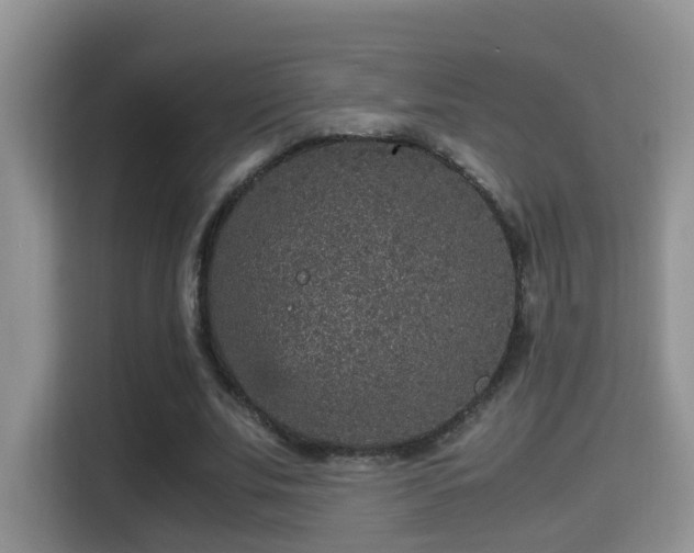 X0000116000679200911251100