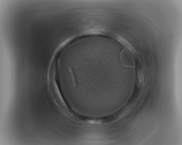 X0000116000680200911251100