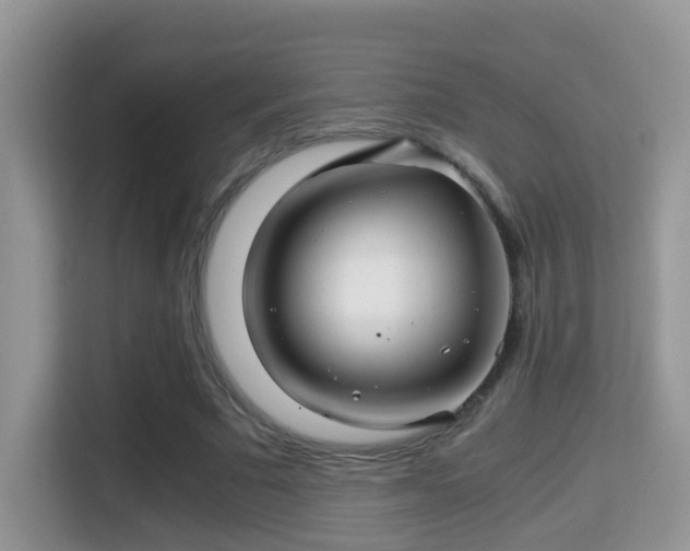 X0000116000681200911251100