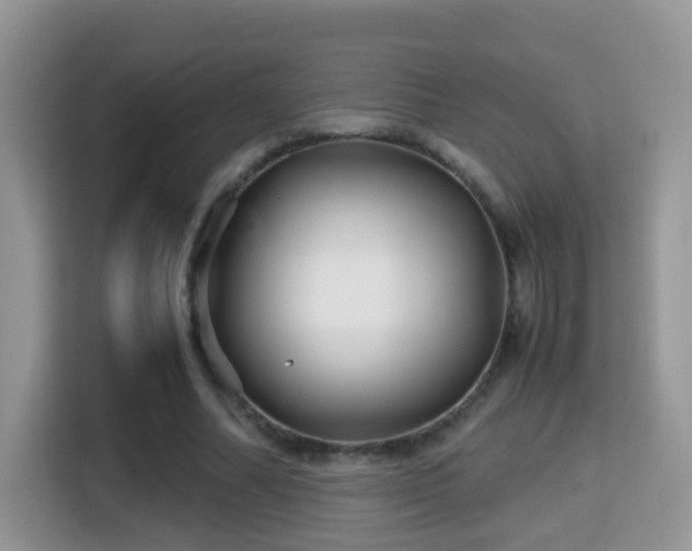 X0000116000682200911251100