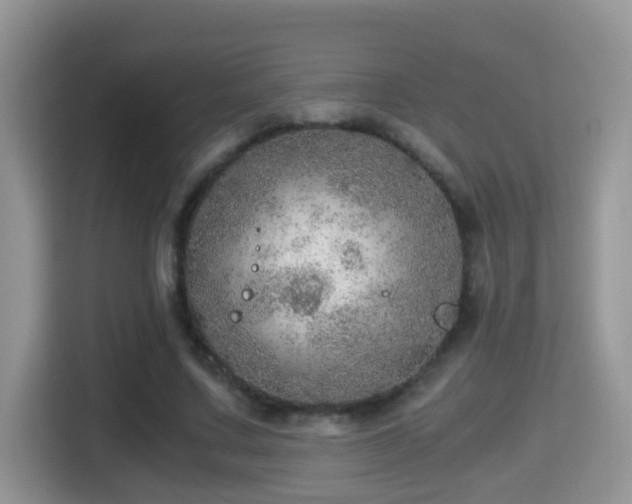 X0000116000683200911251100