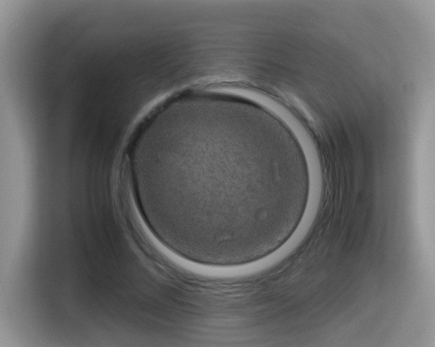 X0000116000684200911251100