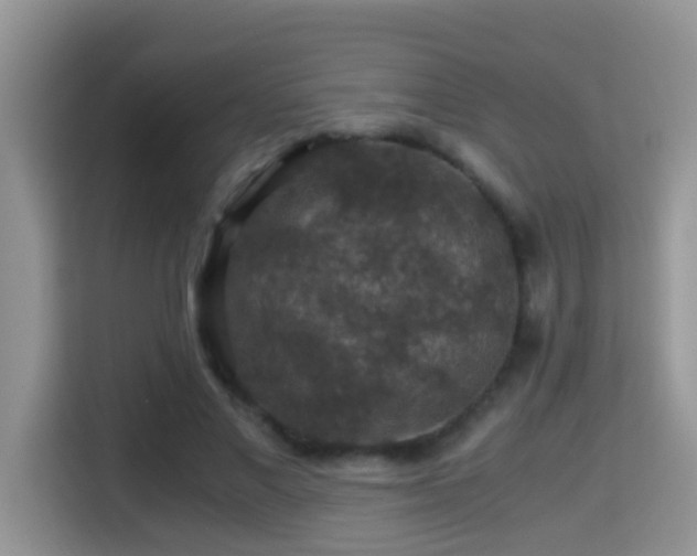 X0000116000685200911251100