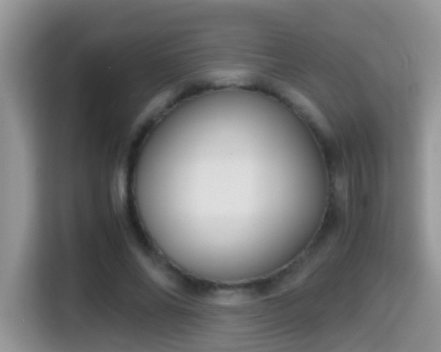 X0000116000686200911251100